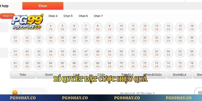 Bí quyết đặt cược hiệu quả