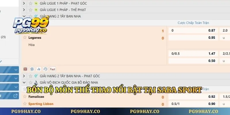 Bốn bộ môn thể thao nổi bật tại Saba Sport