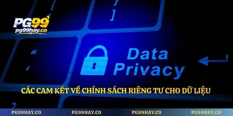 Quyền Riêng Tư Các cam kết về chính sách riêng tư cho dữ liệu