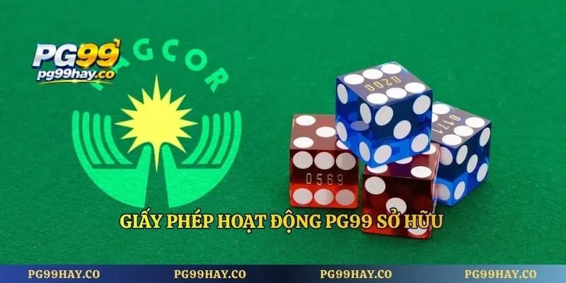 PG99 Giấy phép hoạt động PG99 sở hữu