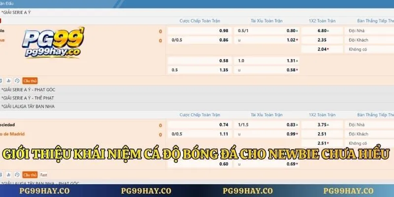 Cá Cược Bóng Đá - Khám Phá Bí Quyết Săn Kèo Thắng Lớn 2026 Giới thiệu khái niệm cá độ bóng đá cho newbie chưa hiểu