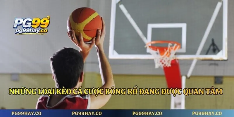 Cá Cược Bóng Rổ PG99 - Cách Cá Độ Bóng Rổ Vô Cùng Dễ Dàng Những loại kèo cá cược bóng rổ đang được quan tâm hiện nay