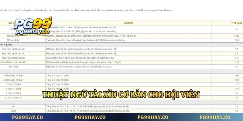 Tài Xỉu Online - Hướng Dẫn Từ A Đến Z Cho Người Mới Thuật ngữ tài xỉu cơ bản cho hội viên