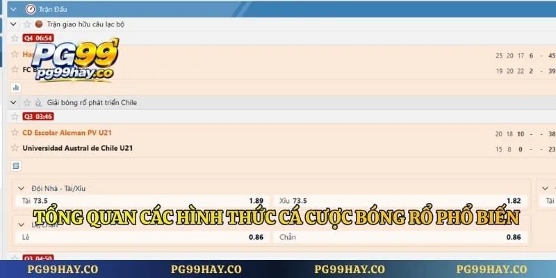 Cá Cược Bóng Rổ PG99 - Cách Cá Độ Bóng Rổ Vô Cùng Dễ Dàng Tổng quan các hình thức cá cược bóng rổ phổ biến hiện nay